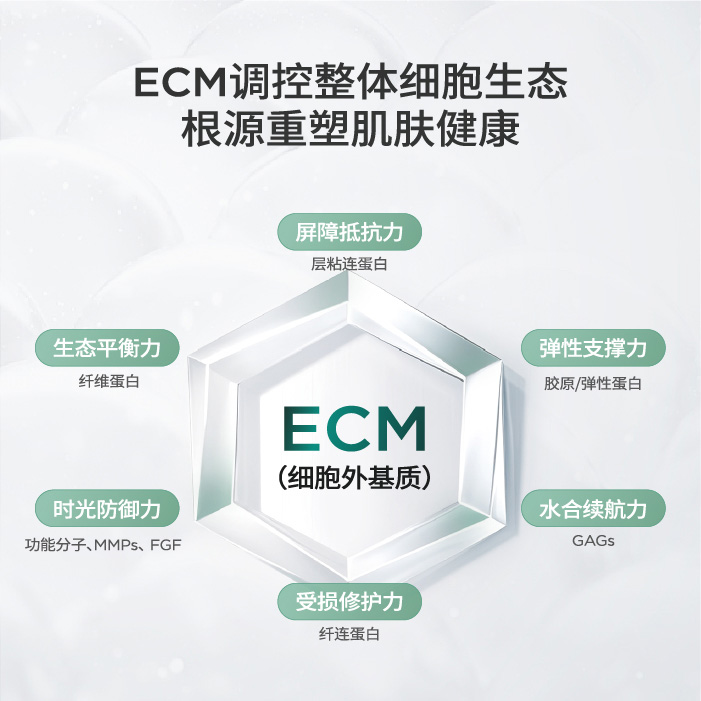 ECM调控整体细胞生态
根源重塑肌肤健康